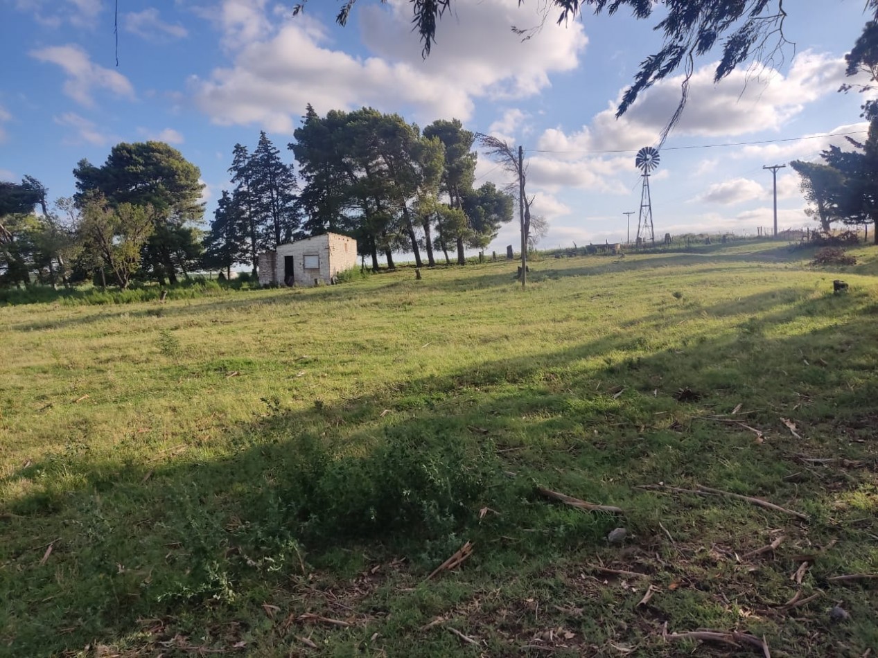 QUINTA SOBRE RUTA 3 IDEAL PARA EMPRENDIMIENTO RURAL