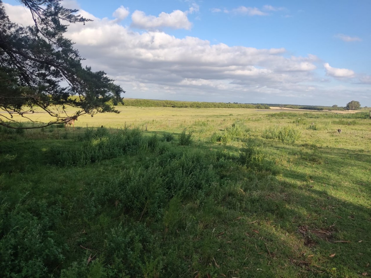 QUINTA SOBRE RUTA 3 IDEAL PARA EMPRENDIMIENTO RURAL