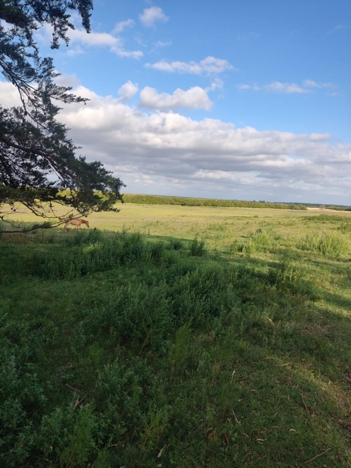 QUINTA SOBRE RUTA 3 IDEAL PARA EMPRENDIMIENTO RURAL