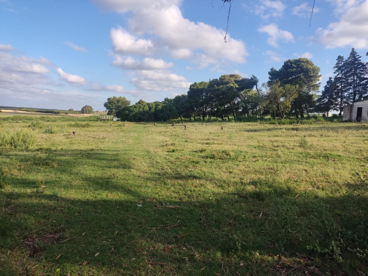 QUINTA SOBRE RUTA 3 IDEAL PARA EMPRENDIMIENTO RURAL