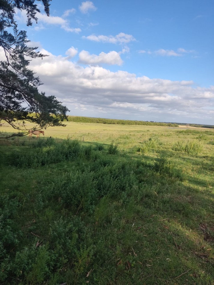 QUINTA SOBRE RUTA 3 IDEAL PARA EMPRENDIMIENTO RURAL