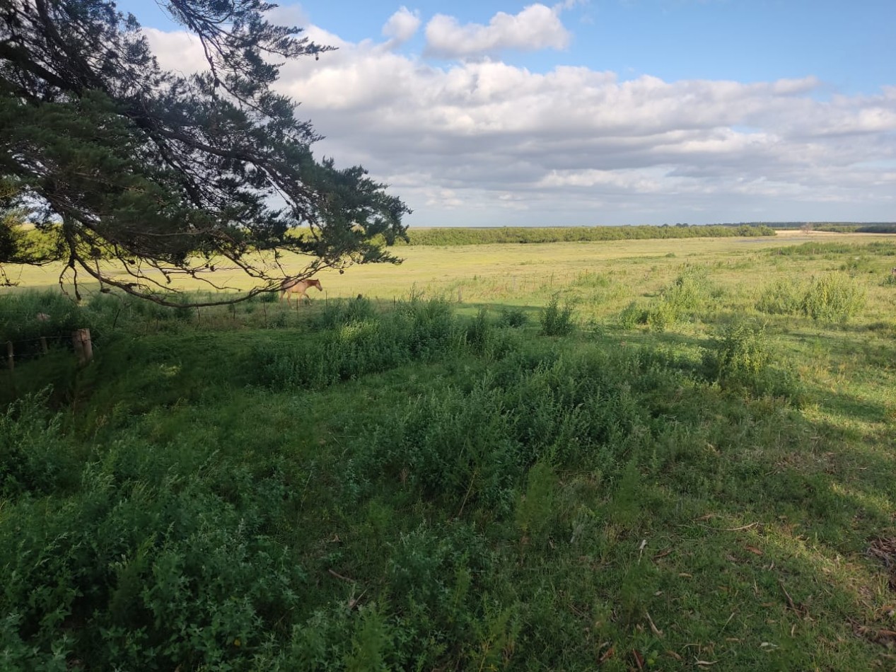 QUINTA SOBRE RUTA 3 IDEAL PARA EMPRENDIMIENTO RURAL