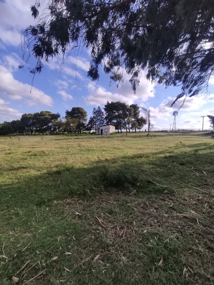 QUINTA SOBRE RUTA 3 IDEAL PARA EMPRENDIMIENTO RURAL