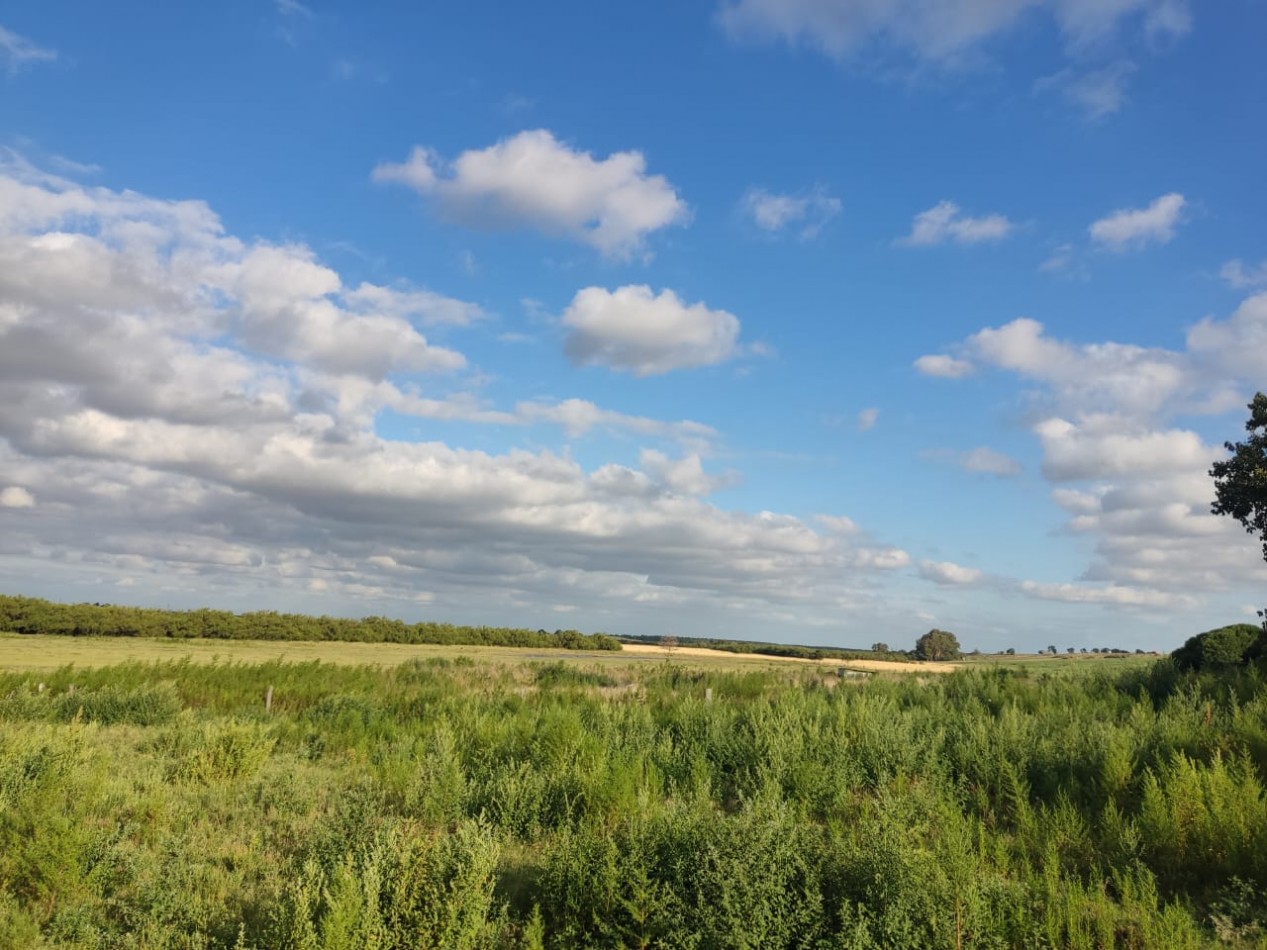 QUINTA SOBRE RUTA 3 IDEAL PARA EMPRENDIMIENTO RURAL