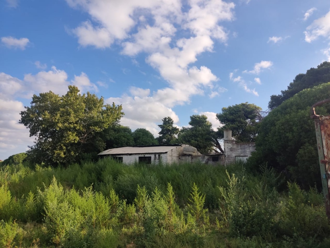 QUINTA SOBRE RUTA 3 IDEAL PARA EMPRENDIMIENTO RURAL