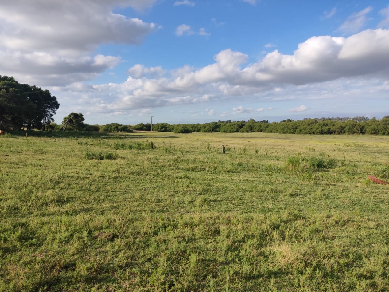 QUINTA SOBRE RUTA 3 IDEAL PARA EMPRENDIMIENTO RURAL