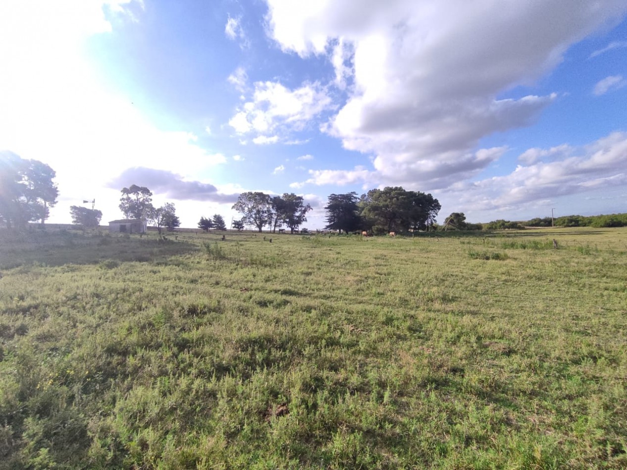 QUINTA SOBRE RUTA 3 IDEAL PARA EMPRENDIMIENTO RURAL