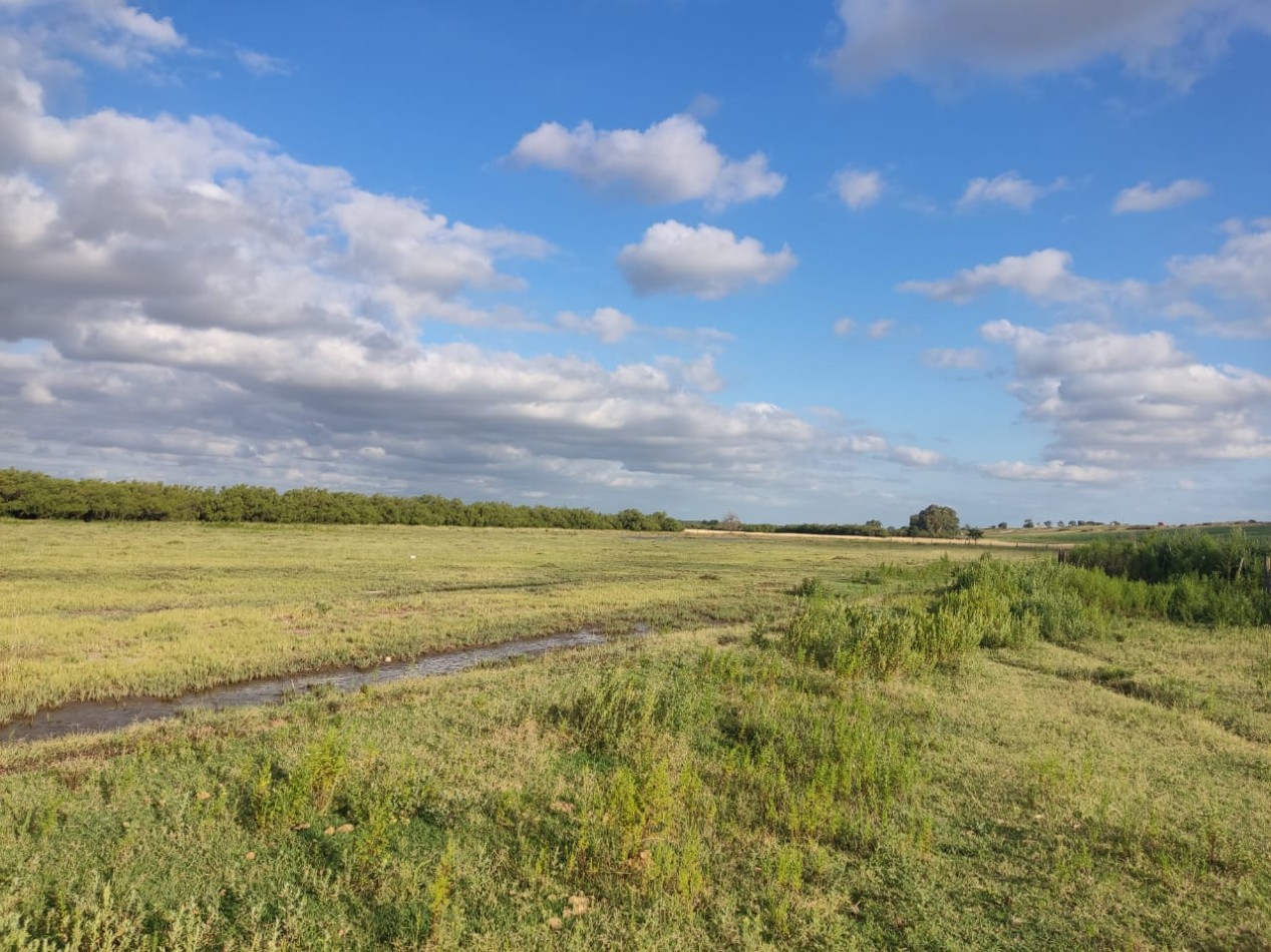 QUINTA SOBRE RUTA 3 IDEAL PARA EMPRENDIMIENTO RURAL