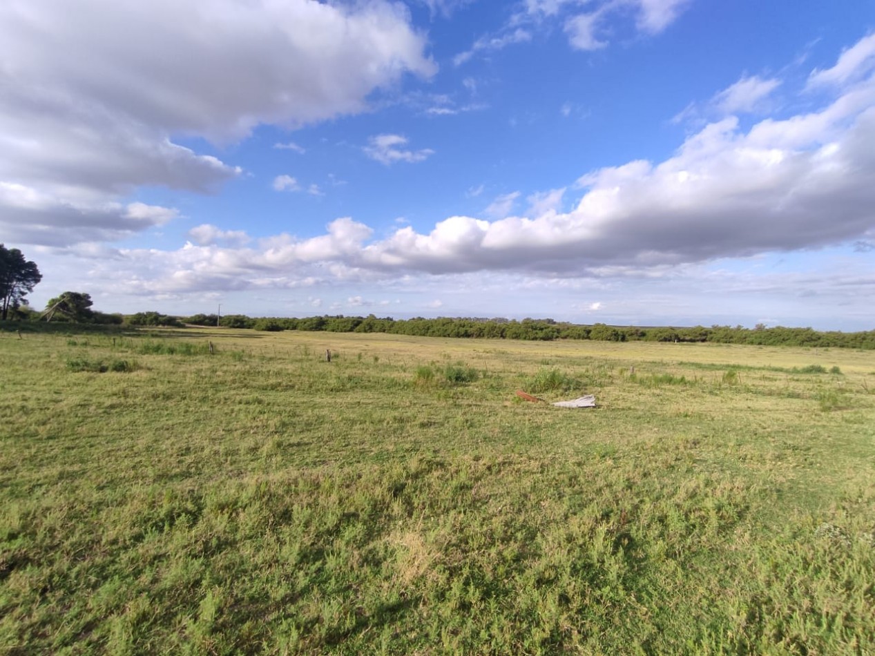 QUINTA SOBRE RUTA 3 IDEAL PARA EMPRENDIMIENTO RURAL