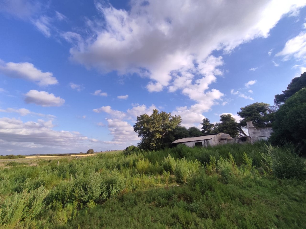 QUINTA SOBRE RUTA 3 IDEAL PARA EMPRENDIMIENTO RURAL