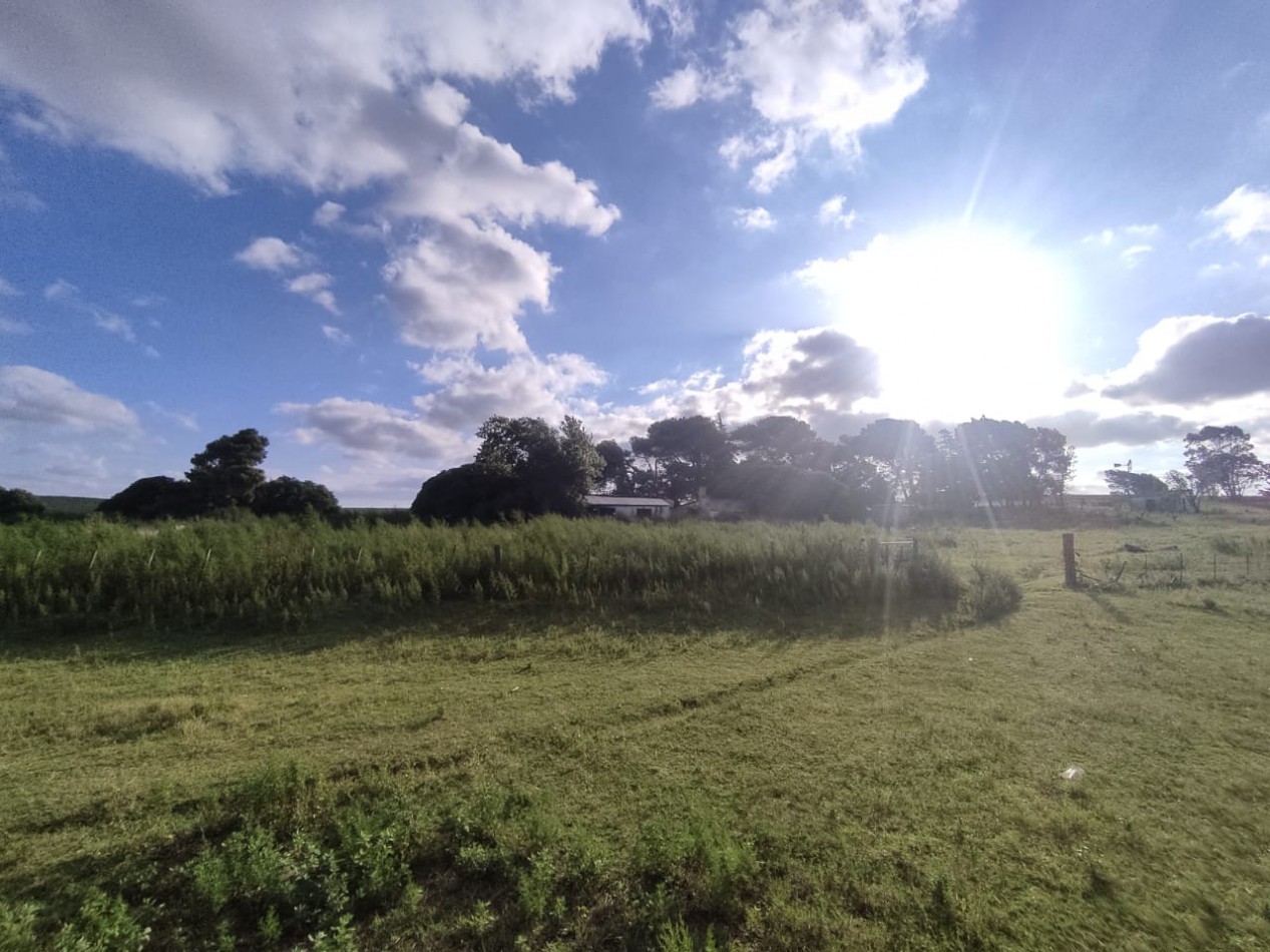 QUINTA SOBRE RUTA 3 IDEAL PARA EMPRENDIMIENTO RURAL