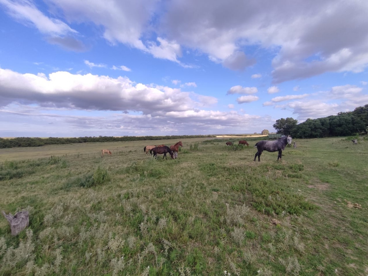 QUINTA SOBRE RUTA 3 IDEAL PARA EMPRENDIMIENTO RURAL