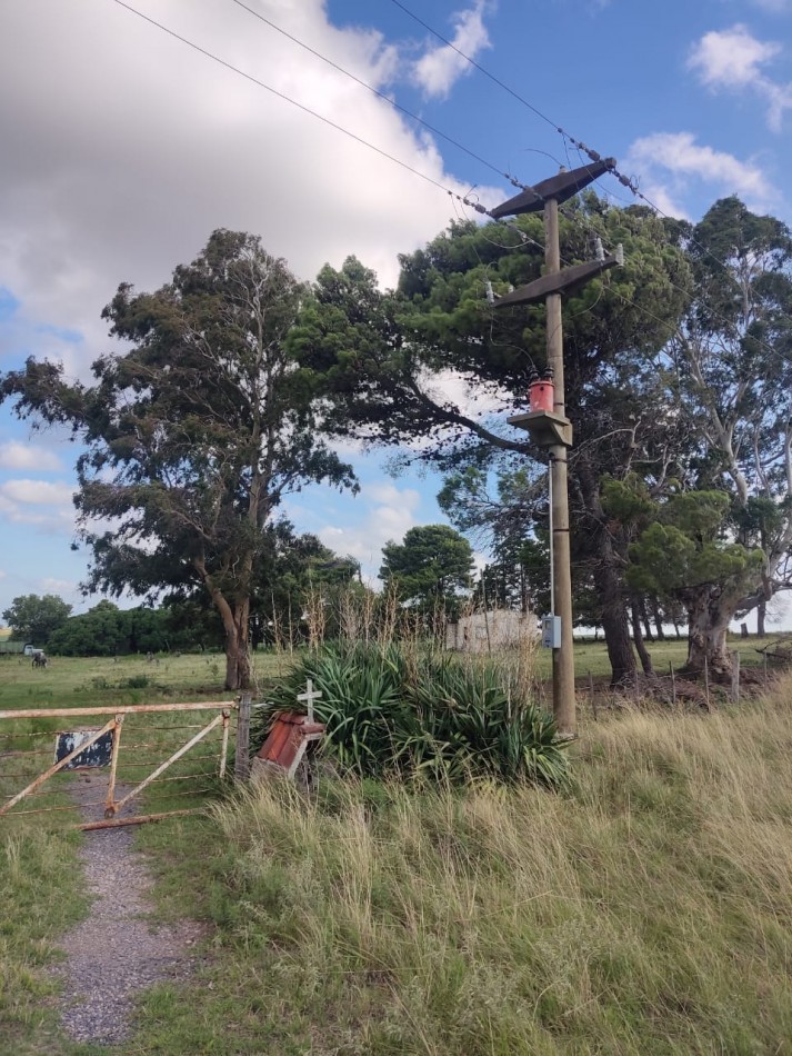 QUINTA SOBRE RUTA 3 IDEAL PARA EMPRENDIMIENTO RURAL
