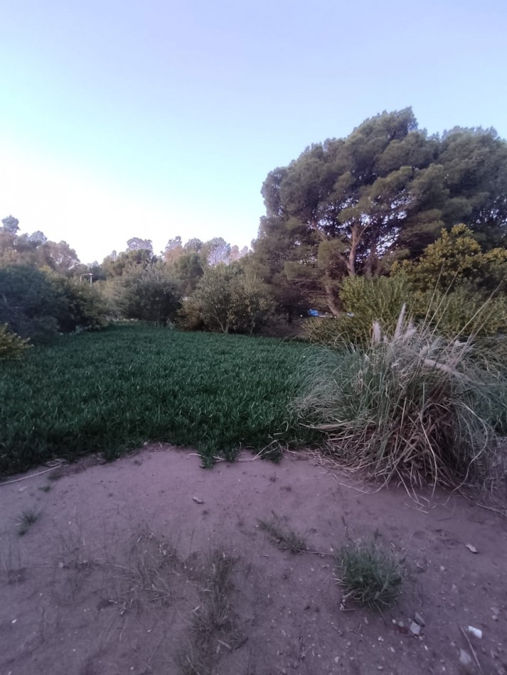 2 CASAS EN ESPEJO EN SAUCE GRANDE, MONTE HERMOSO