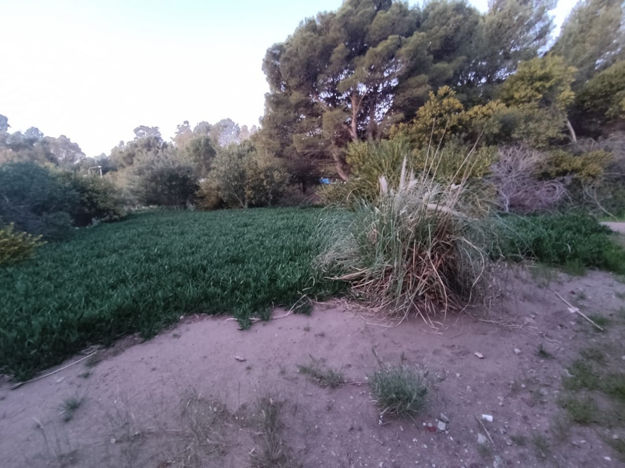 2 CASAS EN ESPEJO EN SAUCE GRANDE, MONTE HERMOSO
