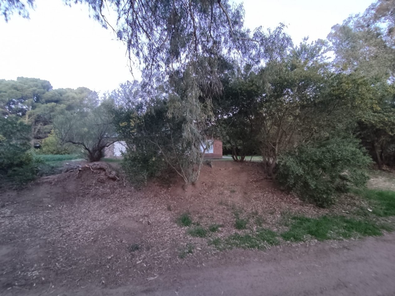 2 CASAS EN ESPEJO EN SAUCE GRANDE, MONTE HERMOSO