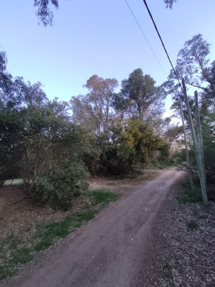 2 CASAS EN ESPEJO EN SAUCE GRANDE, MONTE HERMOSO