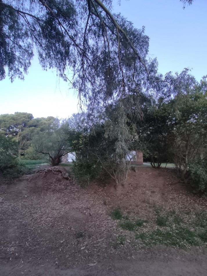 2 CASAS EN ESPEJO EN SAUCE GRANDE, MONTE HERMOSO