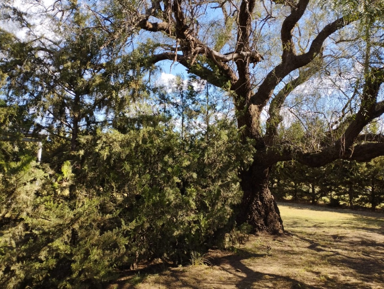 CASA QUINTA EN VENTA 
