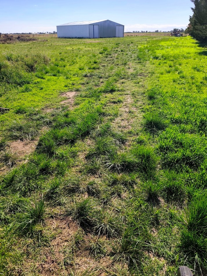 GALPONES EN ALQUILER SOBRE RUTA NACIONAL N°3